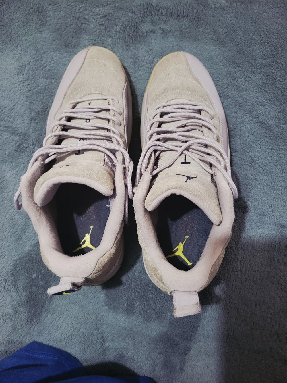 Air Jordan 12 Retro Low 